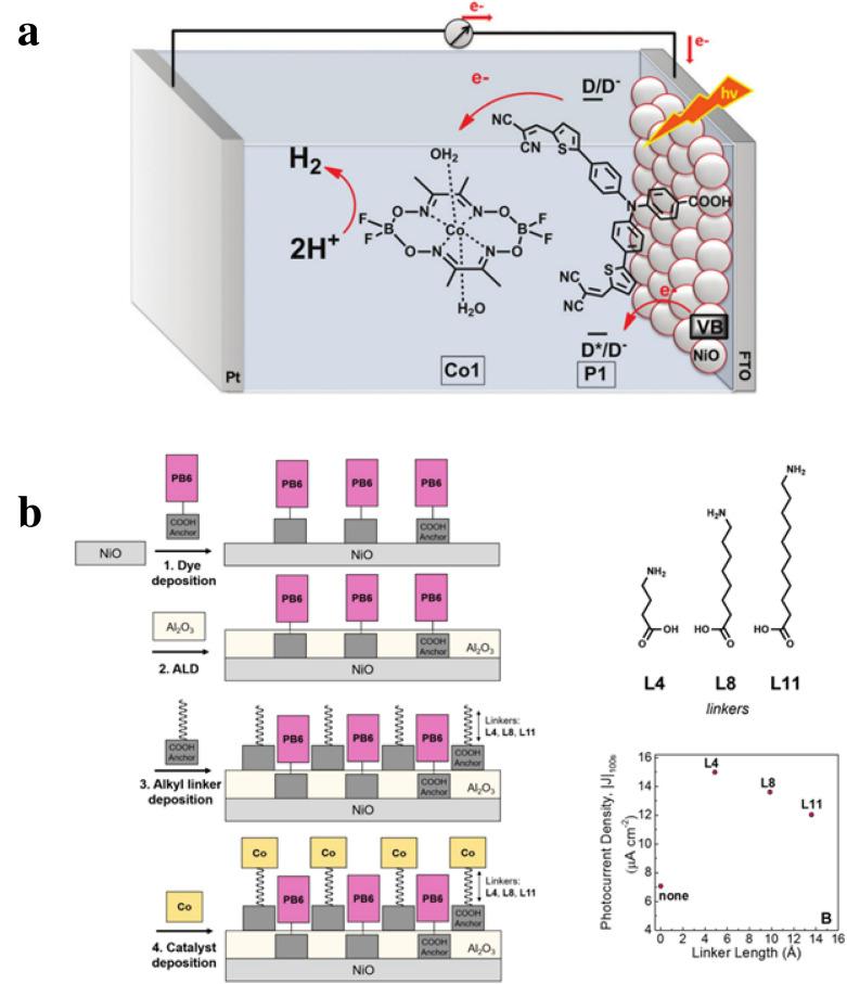 https://cdn.ncbi.nlm.nih.gov/pmc/blobs/9902/7921270/a3213ccee95a/40580_2021_257_Fig3_HTML.jpg