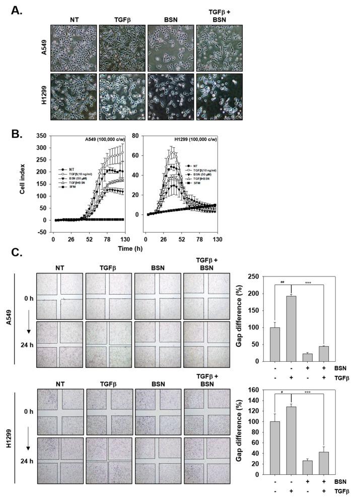 https://cdn.ncbi.nlm.nih.gov/pmc/blobs/9904/6514890/750d3f872c4c/molecules-24-01584-g004.jpg
