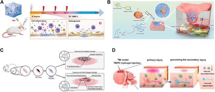 https://cdn.ncbi.nlm.nih.gov/pmc/blobs/9905/10227617/adcd44e125ee/fbioe-11-1190171-g007.jpg