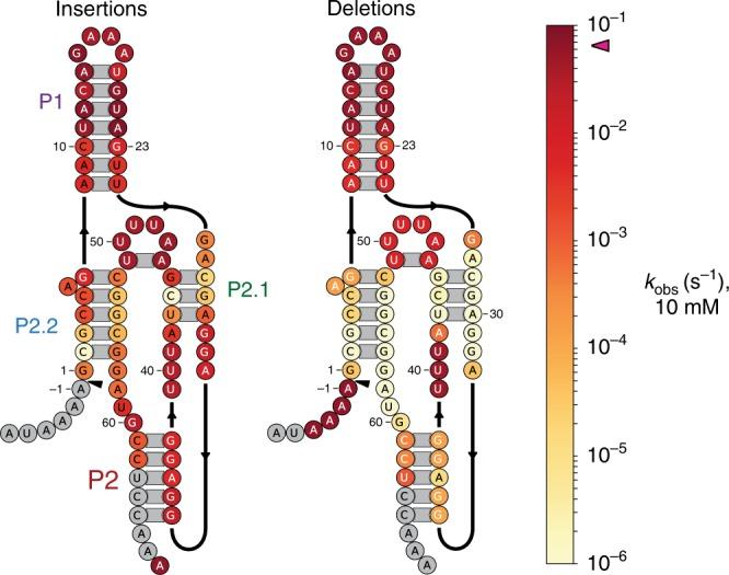 https://cdn.ncbi.nlm.nih.gov/pmc/blobs/9905/7125110/131ebbab1f8f/41467_2020_15540_Fig3_HTML.jpg