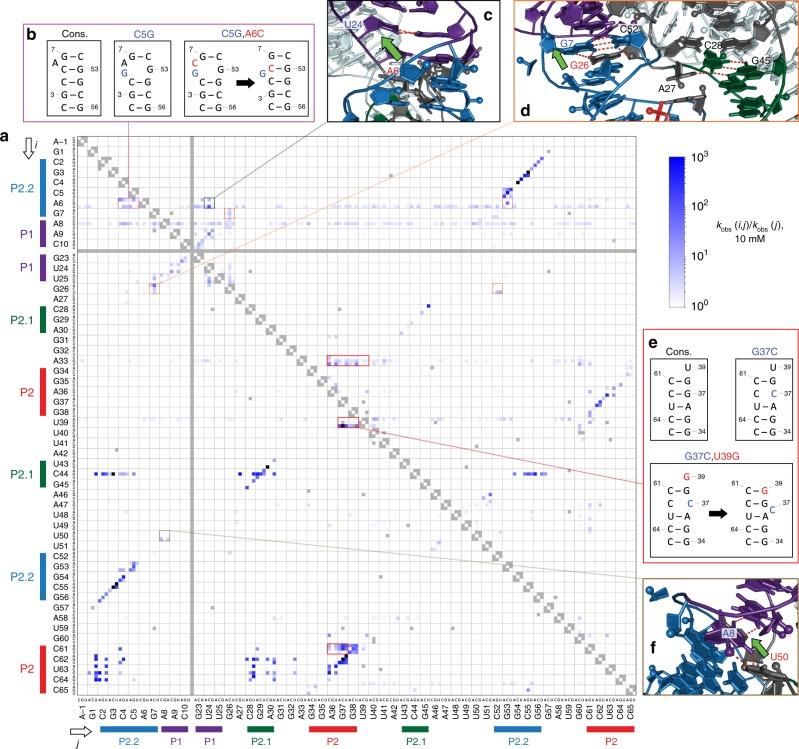 https://cdn.ncbi.nlm.nih.gov/pmc/blobs/9905/7125110/617540c5715c/41467_2020_15540_Fig5_HTML.jpg