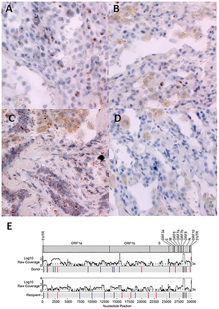 https://cdn.ncbi.nlm.nih.gov/pmc/blobs/9905/9833374/175eda30f62b/gr2_lrg.jpg