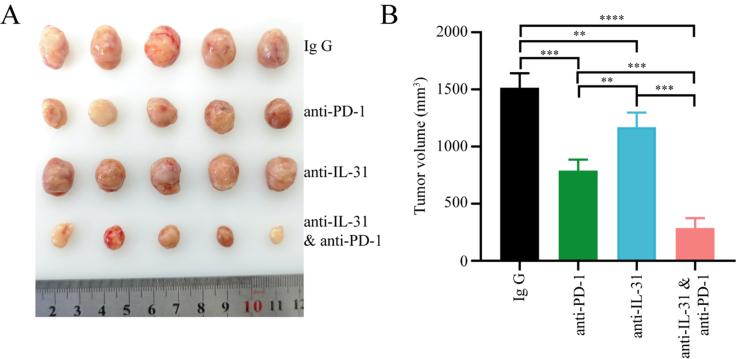 https://cdn.ncbi.nlm.nih.gov/pmc/blobs/9907/12366491/0a85b70d4a3f/cdr-8-38.fig.6.jpg