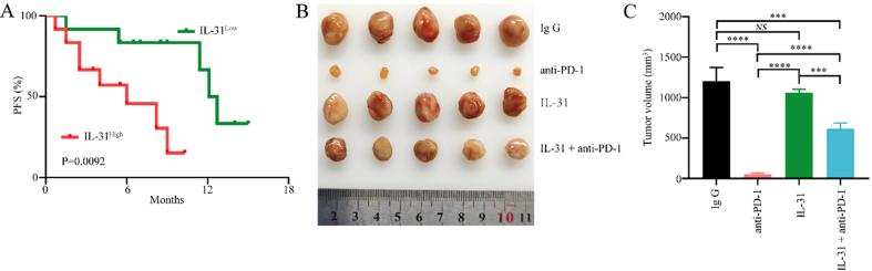 https://cdn.ncbi.nlm.nih.gov/pmc/blobs/9907/12366491/11ba44f9d4c4/cdr-8-38.fig.4.jpg