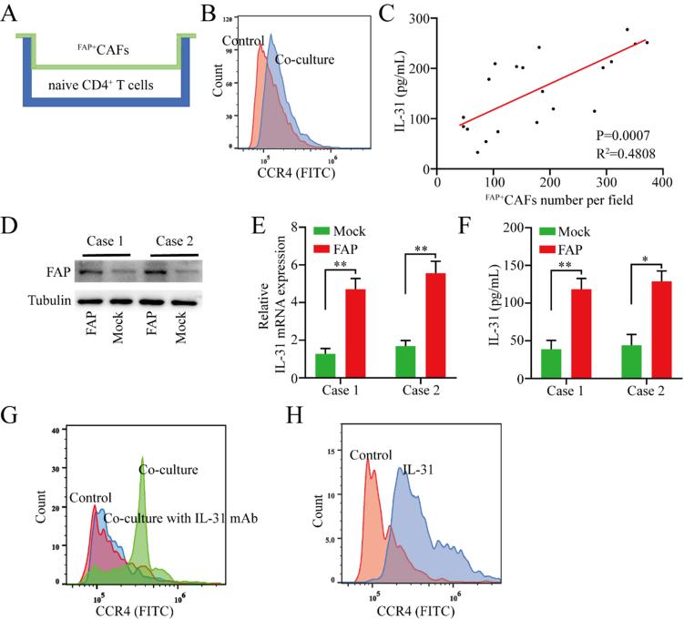 https://cdn.ncbi.nlm.nih.gov/pmc/blobs/9907/12366491/af62701a7168/cdr-8-38.fig.2.jpg