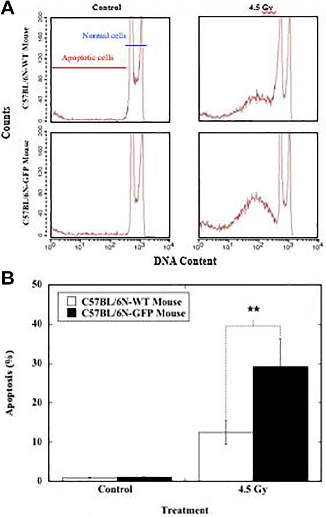 https://cdn.ncbi.nlm.nih.gov/pmc/blobs/9908/7453463/3068218bc762/10.1177_1559325820951332-fig3.jpg