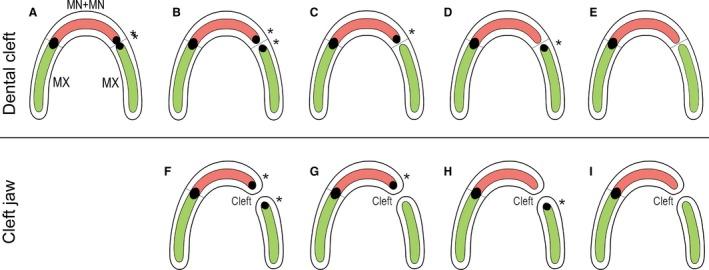 https://cdn.ncbi.nlm.nih.gov/pmc/blobs/990a/6036925/6b2a96548903/JOA-233-135-g005.jpg