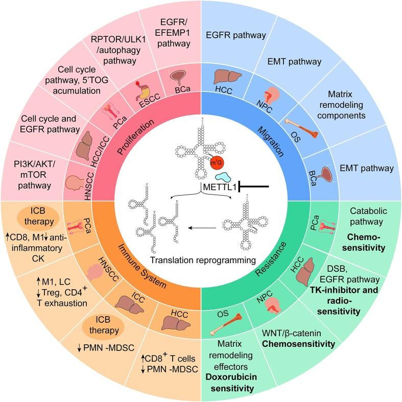 https://cdn.ncbi.nlm.nih.gov/pmc/blobs/990b/10928989/064b9e60affd/zcae012fig1.jpg