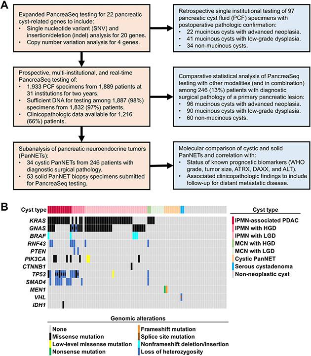 https://cdn.ncbi.nlm.nih.gov/pmc/blobs/990c/9844531/4328ebf8b52f/nihms-1859817-f0002.jpg