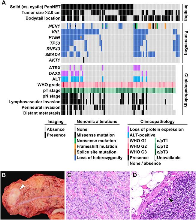 https://cdn.ncbi.nlm.nih.gov/pmc/blobs/990c/9844531/4c54b9150590/nihms-1859817-f0006.jpg