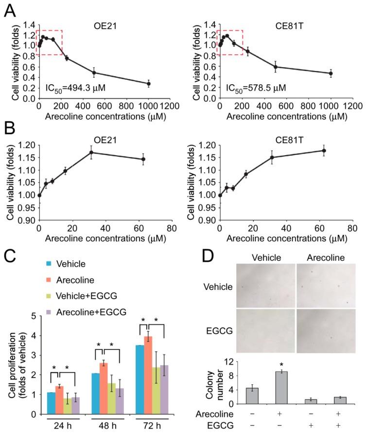 https://cdn.ncbi.nlm.nih.gov/pmc/blobs/9910/6468666/84df1eb90d52/cancers-11-00387-g001.jpg