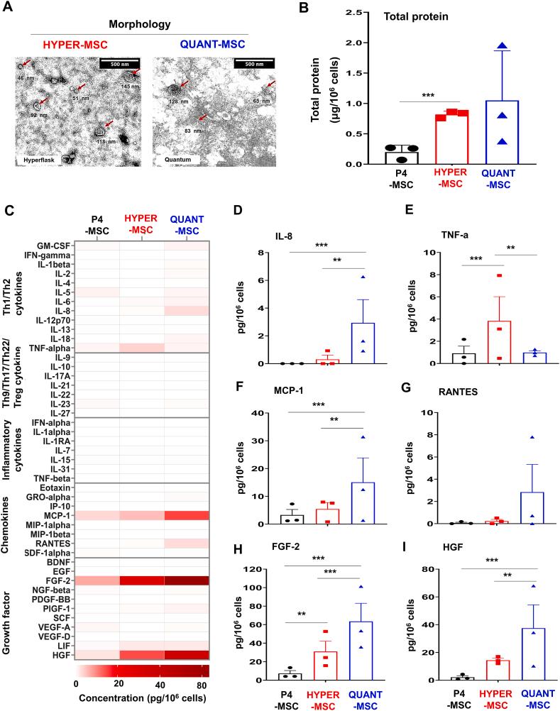 https://cdn.ncbi.nlm.nih.gov/pmc/blobs/9911/10205494/ac1c804e441d/gr5.jpg