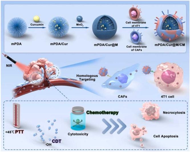 https://cdn.ncbi.nlm.nih.gov/pmc/blobs/9915/10172638/1b8da1ab26a9/ga1.jpg