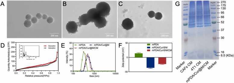 https://cdn.ncbi.nlm.nih.gov/pmc/blobs/9915/10172638/61beb402532c/gr1.jpg