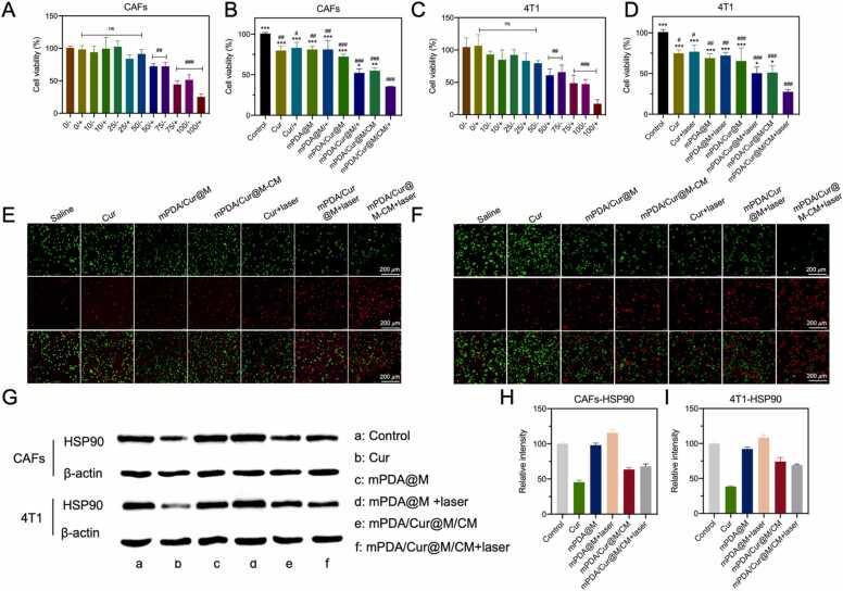 https://cdn.ncbi.nlm.nih.gov/pmc/blobs/9915/10172638/e343e6d41539/gr4.jpg