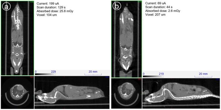 https://cdn.ncbi.nlm.nih.gov/pmc/blobs/9915/6509903/34501d02290b/fmed-06-00088-g0013.jpg