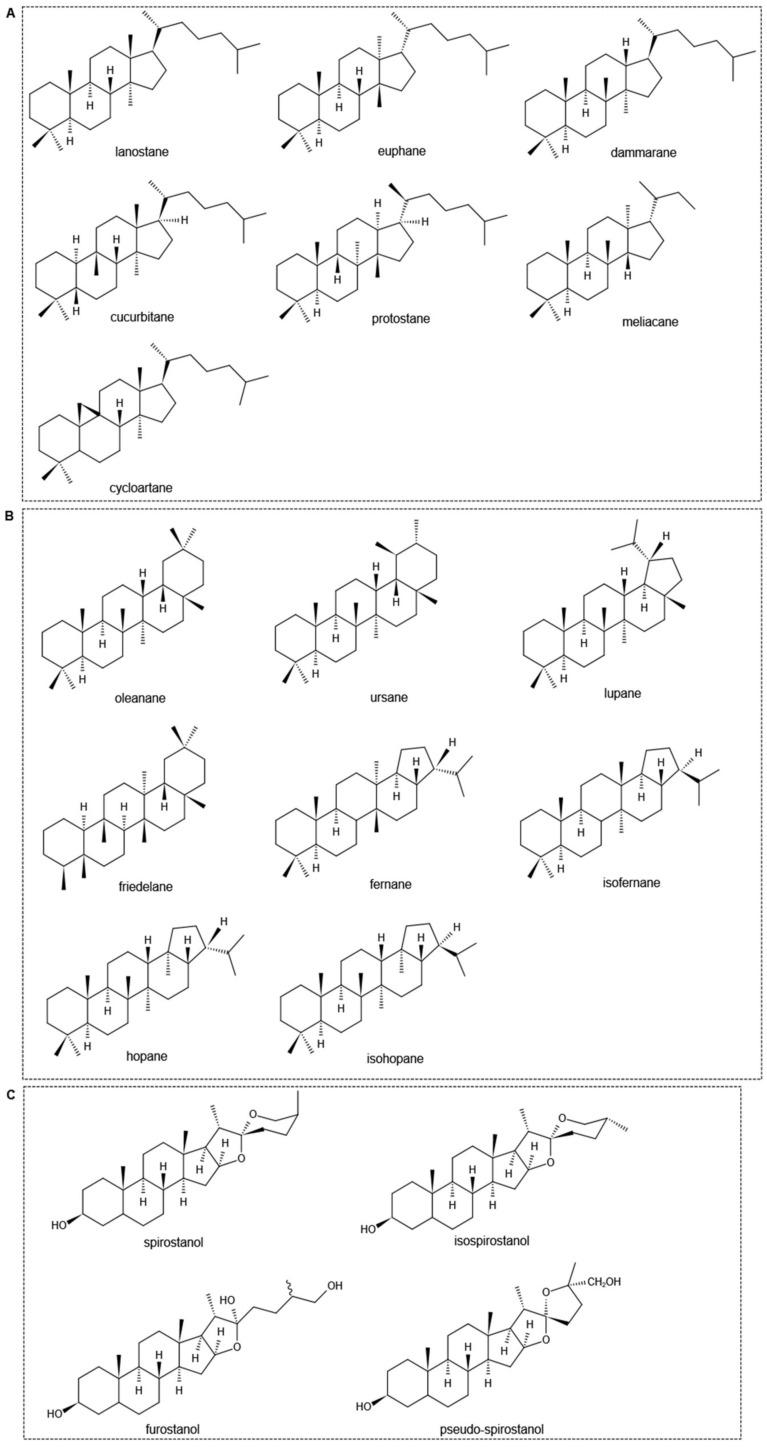 https://cdn.ncbi.nlm.nih.gov/pmc/blobs/9915/9227328/78190c38f45c/molecules-27-03956-g001.jpg