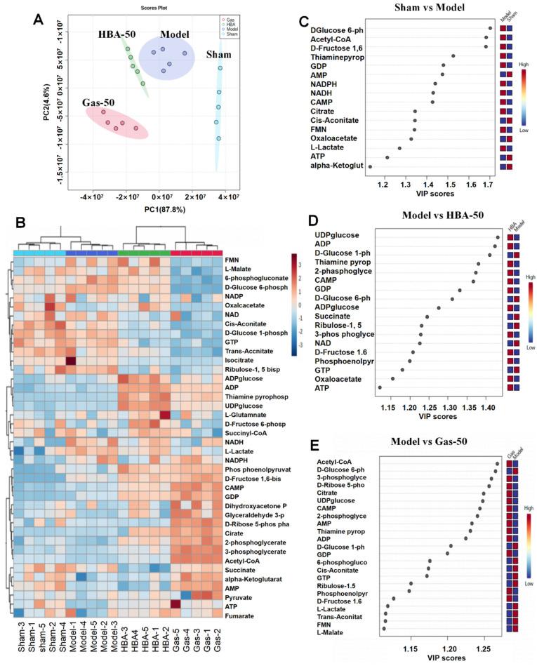 https://cdn.ncbi.nlm.nih.gov/pmc/blobs/9918/10059574/4611793db4b4/molecules-28-02598-g004.jpg