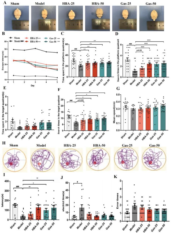 https://cdn.ncbi.nlm.nih.gov/pmc/blobs/9918/10059574/c6080e48f0a0/molecules-28-02598-g001.jpg