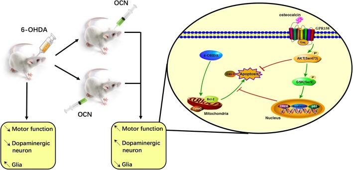 https://cdn.ncbi.nlm.nih.gov/pmc/blobs/991b/6434857/1b418f520247/13041_2019_444_Fig1_HTML.jpg