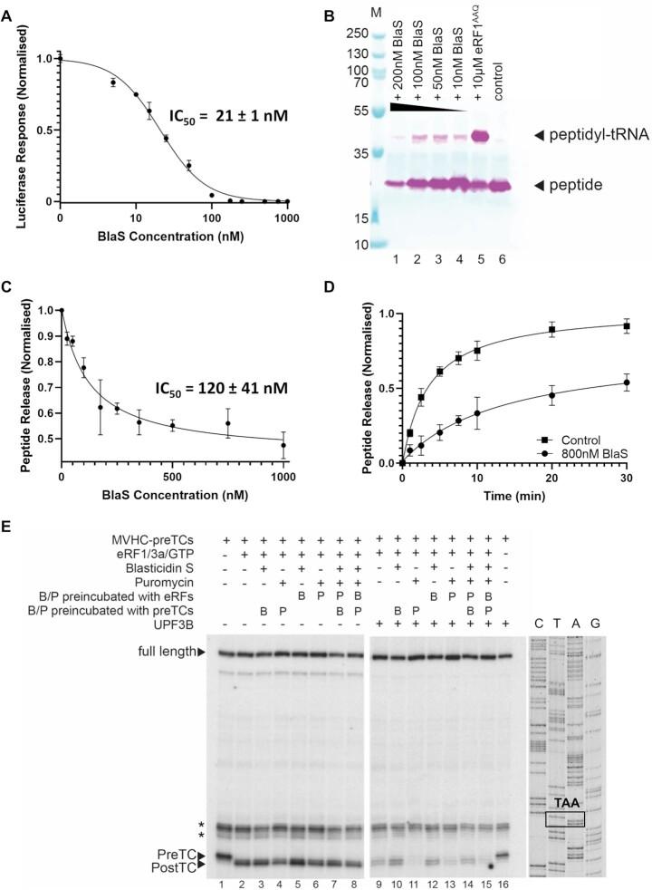 https://cdn.ncbi.nlm.nih.gov/pmc/blobs/991b/8287960/890f8ef9a46b/gkab532fig1.jpg