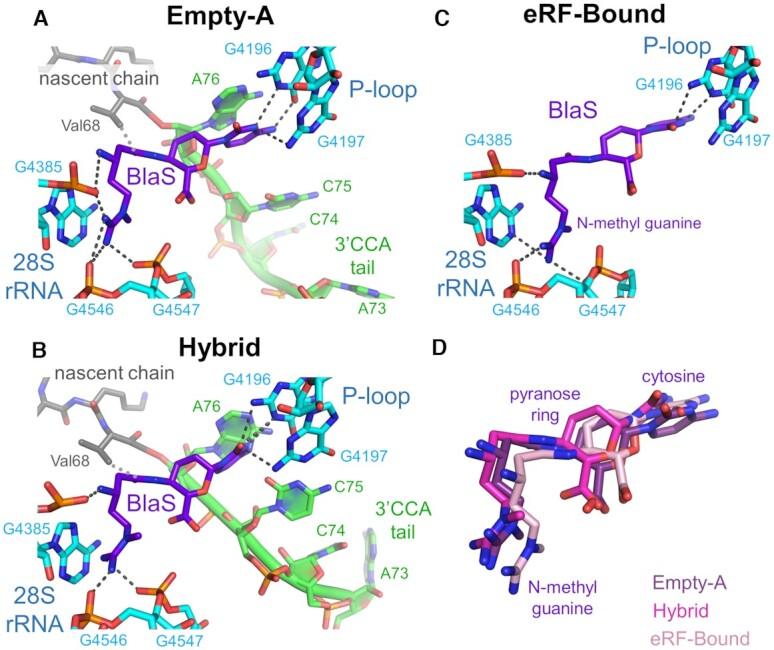 https://cdn.ncbi.nlm.nih.gov/pmc/blobs/991b/8287960/ba5bbef96873/gkab532fig3.jpg