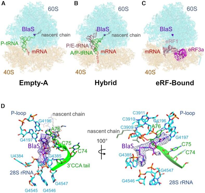 https://cdn.ncbi.nlm.nih.gov/pmc/blobs/991b/8287960/c44f0ab895e3/gkab532fig2.jpg
