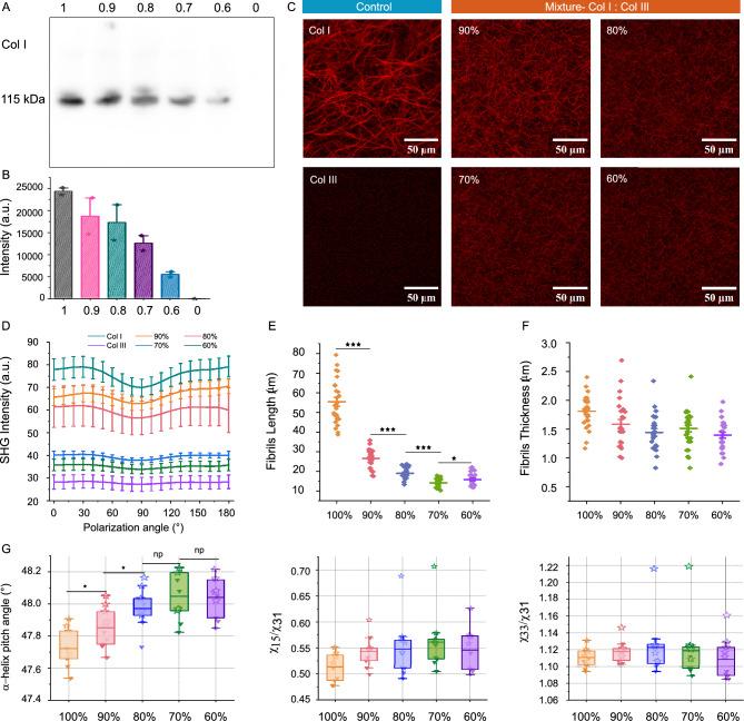 https://cdn.ncbi.nlm.nih.gov/pmc/blobs/991c/12144187/1ae41061ab60/41598_2025_2536_Fig3_HTML.jpg
