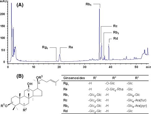 https://cdn.ncbi.nlm.nih.gov/pmc/blobs/991c/2952762/940d5479b54b/213_2010_1964_Fig1_HTML.jpg