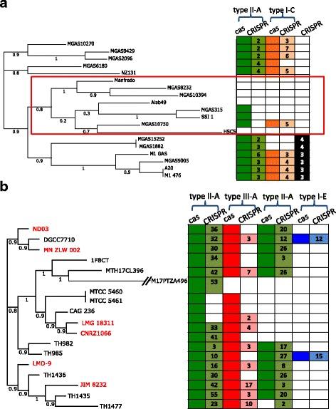 https://cdn.ncbi.nlm.nih.gov/pmc/blobs/991c/5294841/c8f151d707b3/12859_2017_1512_Fig2_HTML.jpg