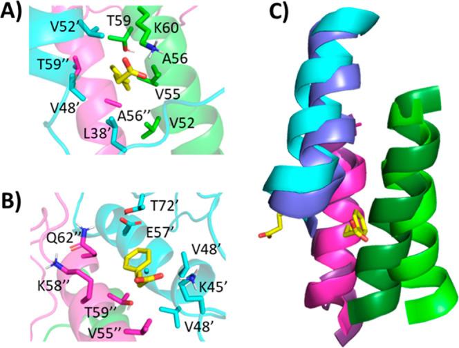 https://cdn.ncbi.nlm.nih.gov/pmc/blobs/991d/11926867/885a6aaf436f/cn4c00709_0011.jpg