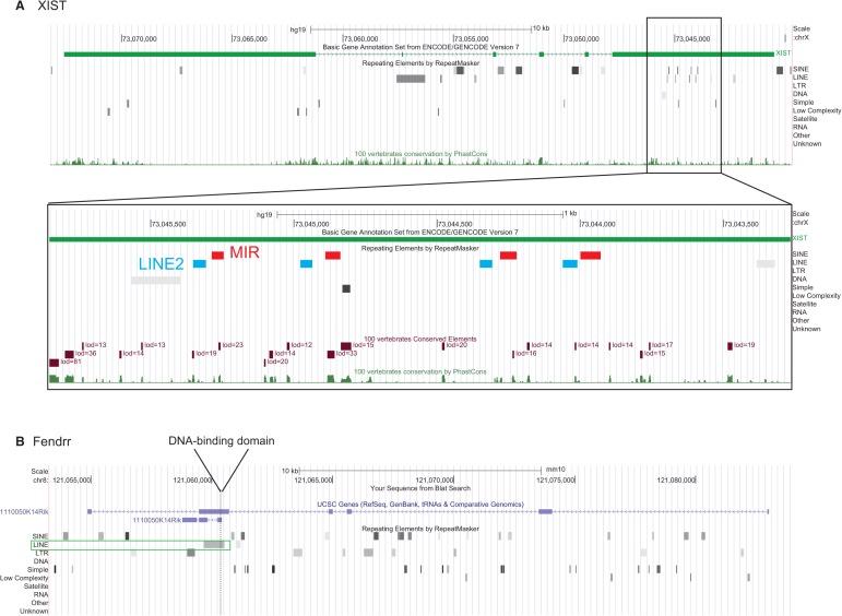 https://cdn.ncbi.nlm.nih.gov/pmc/blobs/991e/4114693/382de3b244c0/959f04.jpg