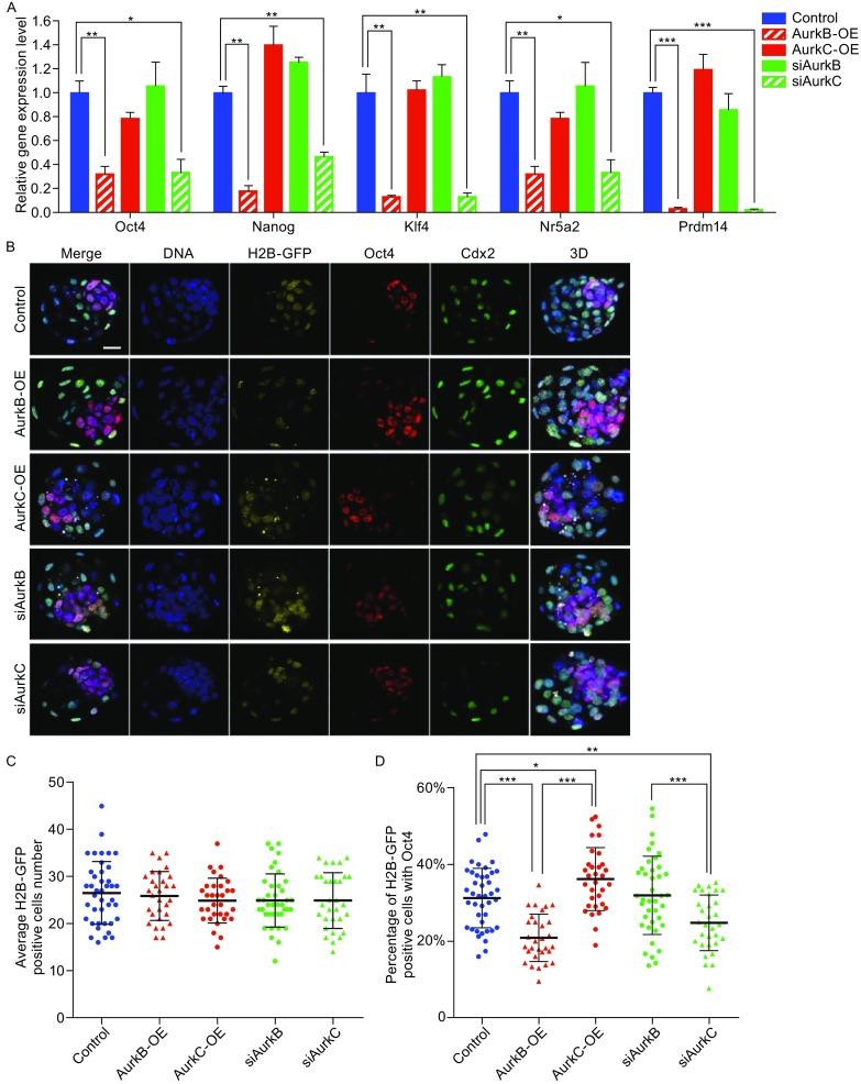 https://cdn.ncbi.nlm.nih.gov/pmc/blobs/991e/5563281/742fda0f2b54/13238_2017_407_Fig4_HTML.jpg