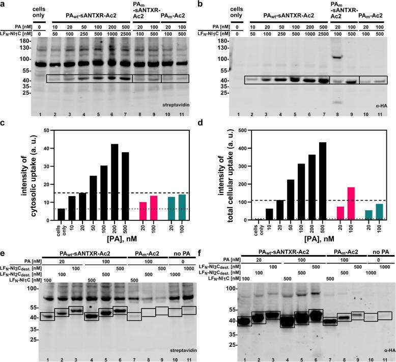 https://cdn.ncbi.nlm.nih.gov/pmc/blobs/991e/7427085/aaceef1adf51/12915_2020_827_Fig4_HTML.jpg