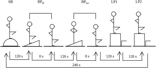 https://cdn.ncbi.nlm.nih.gov/pmc/blobs/991e/9086394/8a19a78ca9c7/fphys-13-824651-g001.jpg