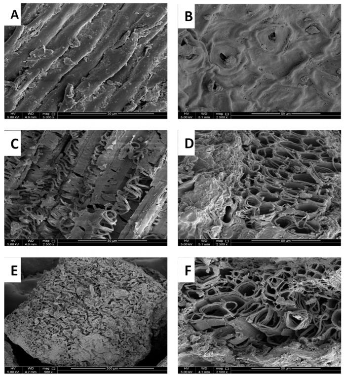 https://cdn.ncbi.nlm.nih.gov/pmc/blobs/9920/8541659/f1f983d6111c/molecules-26-06138-g006.jpg