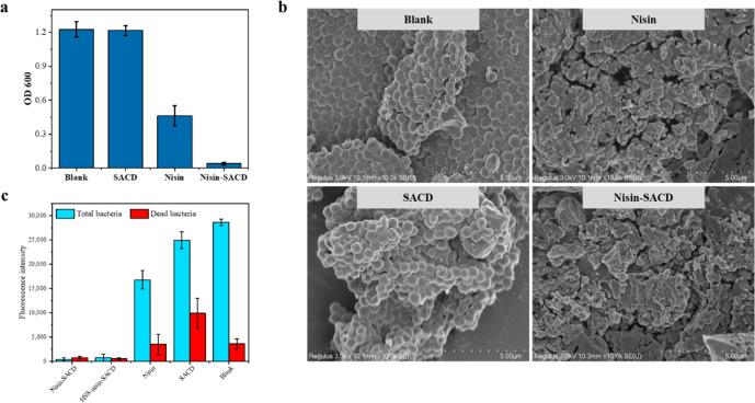 https://cdn.ncbi.nlm.nih.gov/pmc/blobs/9923/10199925/81cecfca1219/41538_2023_181_Fig6_HTML.jpg