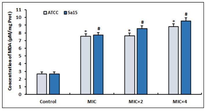 https://cdn.ncbi.nlm.nih.gov/pmc/blobs/9923/10376866/1e2b3b8a264b/antioxidants-12-01388-g003.jpg