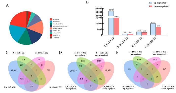 https://cdn.ncbi.nlm.nih.gov/pmc/blobs/9923/12026692/248b0bc7998c/genes-16-00367-g005.jpg