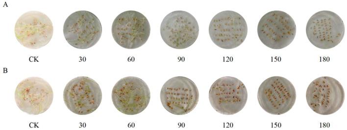 https://cdn.ncbi.nlm.nih.gov/pmc/blobs/9923/12026692/b5644cdf2124/genes-16-00367-g002.jpg
