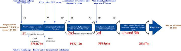 https://cdn.ncbi.nlm.nih.gov/pmc/blobs/9923/12256209/b25df83adcb7/fimmu-16-1618672-g004.jpg