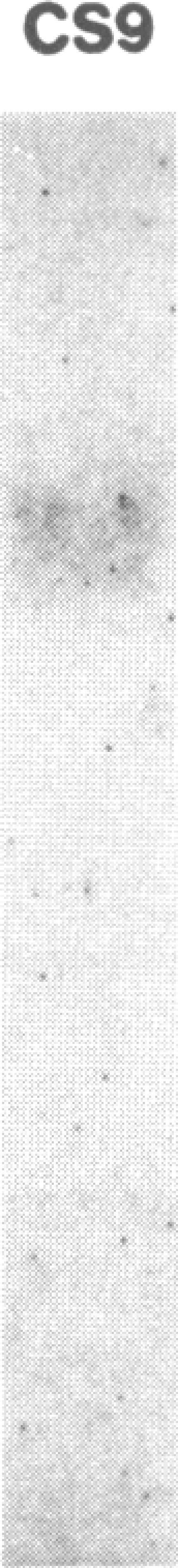 https://cdn.ncbi.nlm.nih.gov/pmc/blobs/9923/298963/f1b669d195f4/pnas00331-0365-a.jpg