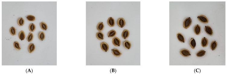https://cdn.ncbi.nlm.nih.gov/pmc/blobs/9924/10488722/a1bc55842192/molecules-28-06266-g004.jpg