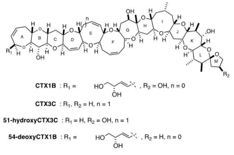 https://cdn.ncbi.nlm.nih.gov/pmc/blobs/9925/7693352/bb73ada4405f/toxins-12-00692-g006.jpg