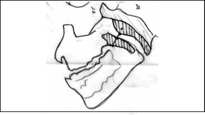 https://cdn.ncbi.nlm.nih.gov/pmc/blobs/9926/9443499/67504ffa4892/gr2.jpg