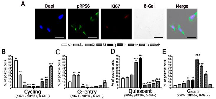 https://cdn.ncbi.nlm.nih.gov/pmc/blobs/9927/8002939/f94faba5d090/ijms-22-03102-g002.jpg