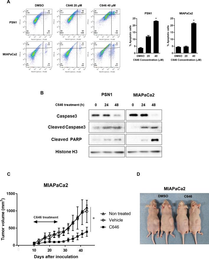https://cdn.ncbi.nlm.nih.gov/pmc/blobs/9927/8115044/1eba795db820/41598_2021_89530_Fig5_HTML.jpg