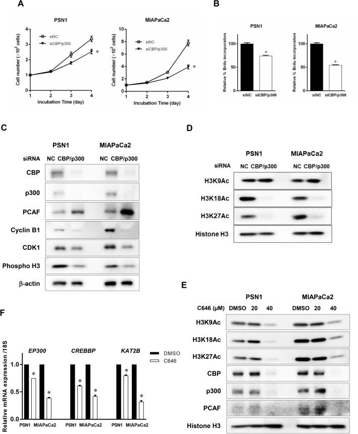 https://cdn.ncbi.nlm.nih.gov/pmc/blobs/9927/8115044/4e0ee16712d5/41598_2021_89530_Fig4_HTML.jpg