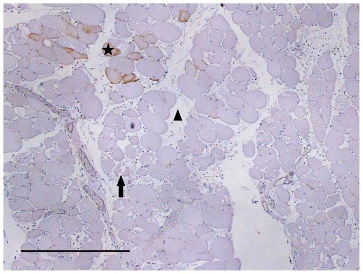 https://cdn.ncbi.nlm.nih.gov/pmc/blobs/9928/4215885/0b29086bd978/pone.0111151.g004.jpg