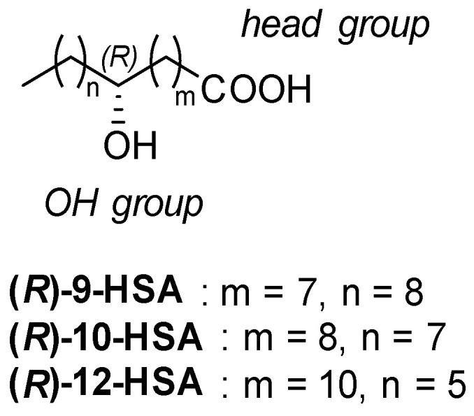 https://cdn.ncbi.nlm.nih.gov/pmc/blobs/9929/7662707/73aa6225be54/ijms-21-08124-g001.jpg